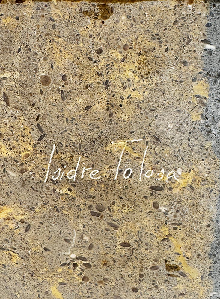 Isidre Tolosa · Tres libros I