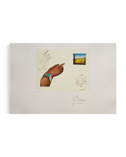 Salvador Dalí · Reflections