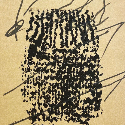 Antoni Tàpies · Poligrafa XV Anys