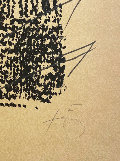 Antoni Tàpies · Poligrafa XV Anys
