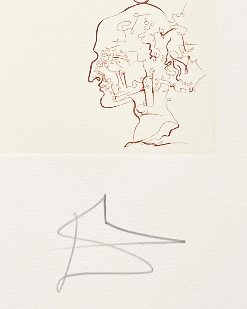 Salvador Dalí · Reflections