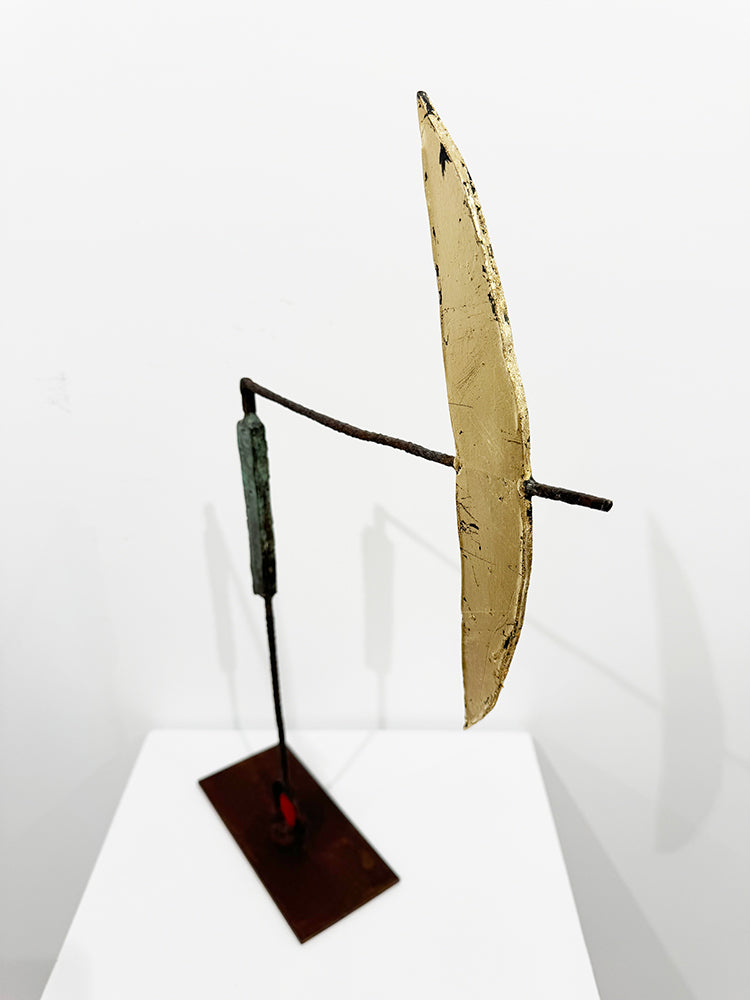 Josep Maria Riera i Aragó · Avión ala dorada
