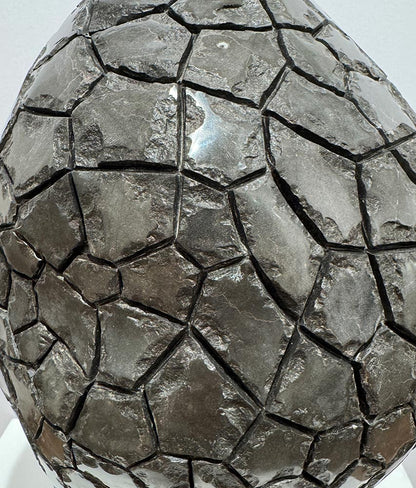 Isidre Tolosa · Trufa negra