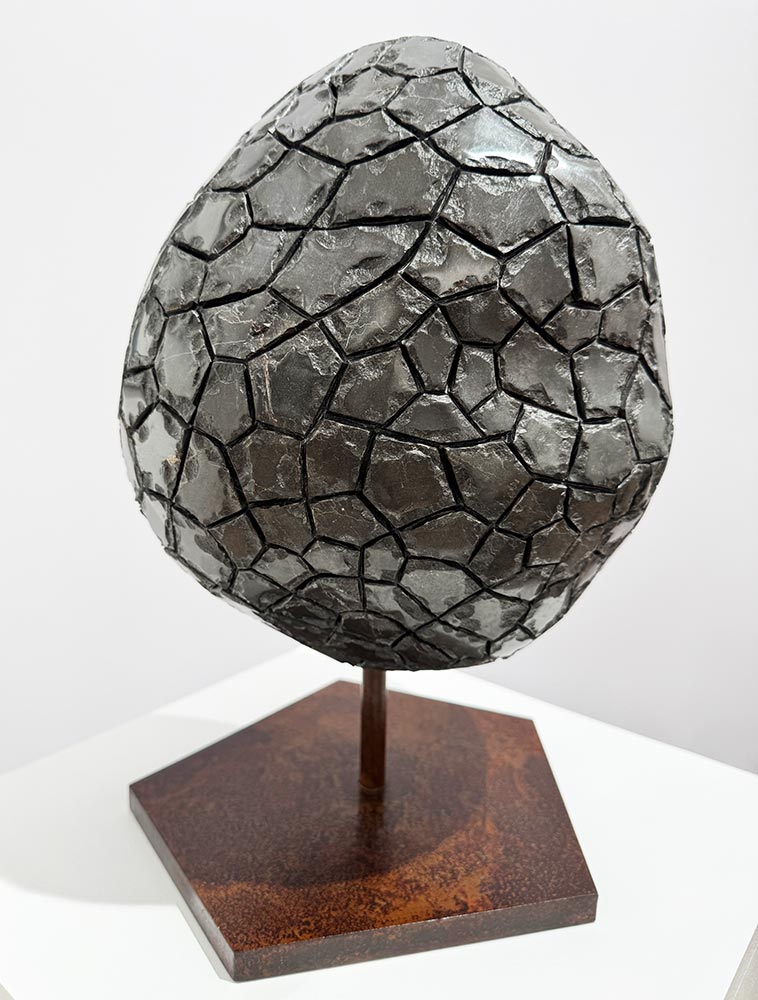 Isidre Tolosa · Trufa negra