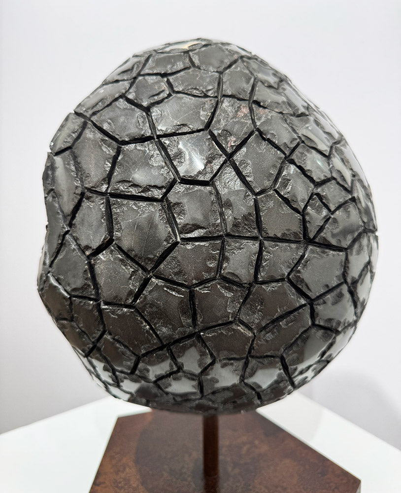 Isidre Tolosa · Trufa negra