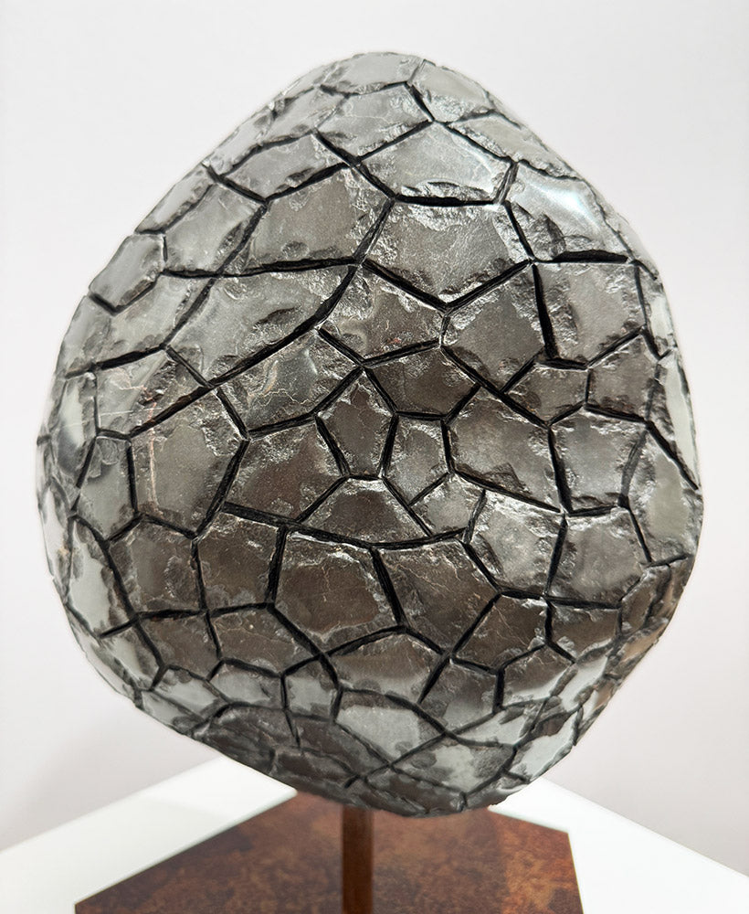 Isidre Tolosa · Trufa negra