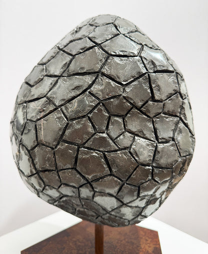 Isidre Tolosa · Trufa negra