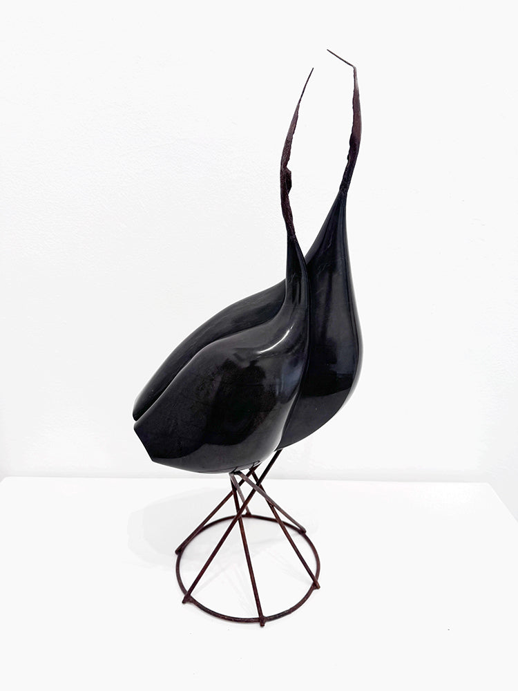 Isidre Tolosa · Ajo negro