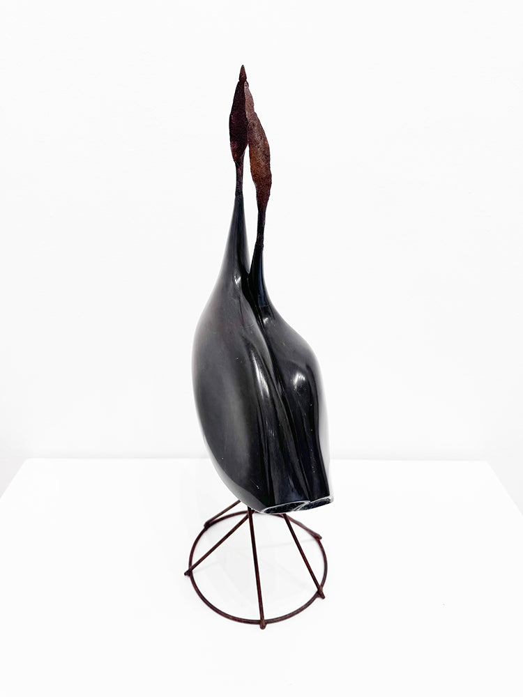 Isidre Tolosa · Ajo negro