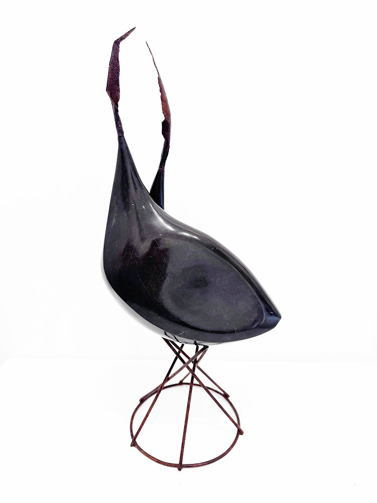 Isidre Tolosa · Ajo negro