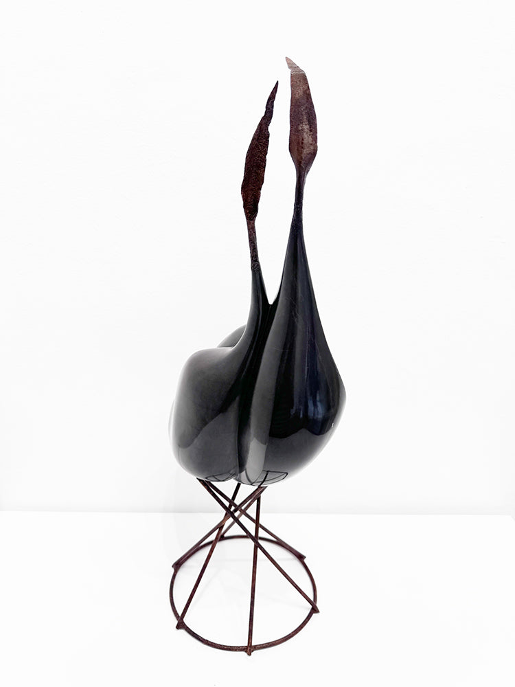 Isidre Tolosa · Ajo negro