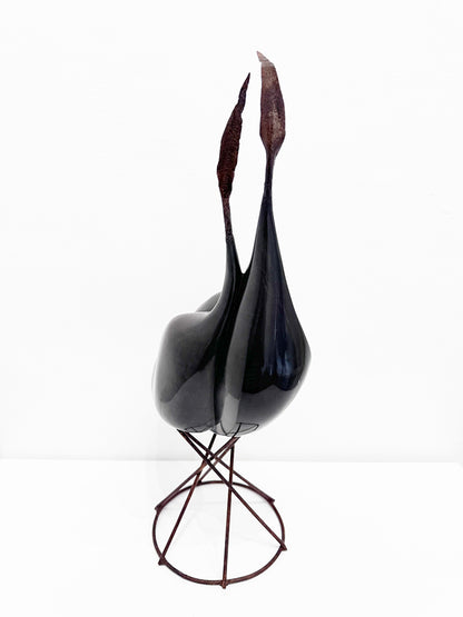 Isidre Tolosa · Ajo negro