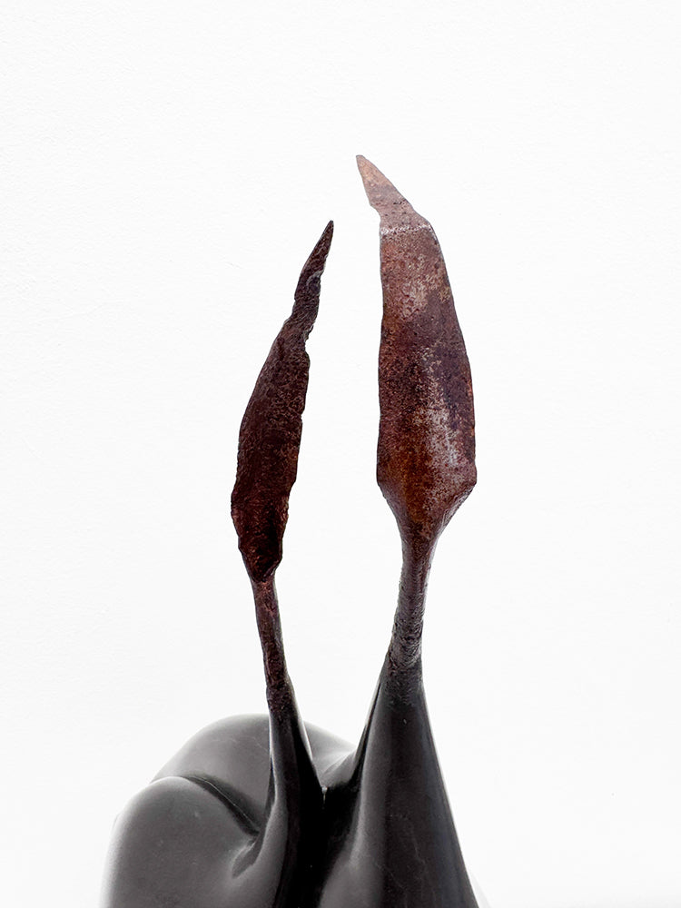 Isidre Tolosa · Ajo negro