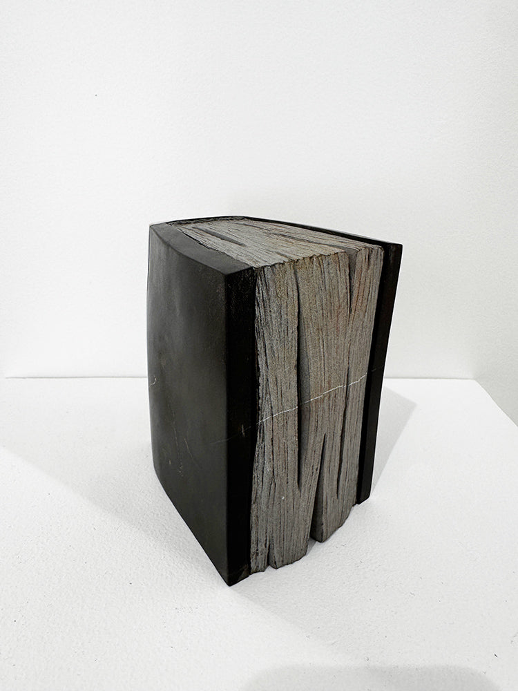 Isidre Tolosa · Lecturas