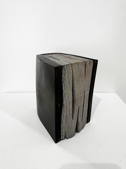 Isidre Tolosa · Lecturas