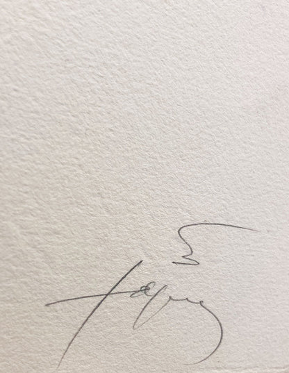 Antoni Tàpies · Llamberc-8
