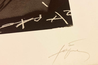 Antoni Tàpies · Clau-12