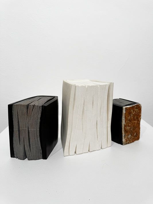 Isidre Tolosa · Lecturas