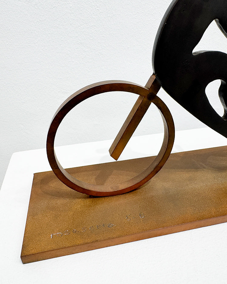 Rosa Serra · Suite Bicicletes 5-B