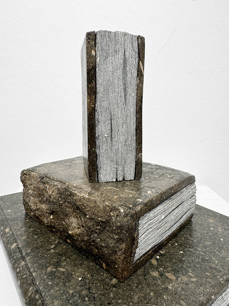 Isidre Tolosa · Three Books III