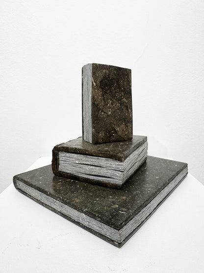 Isidre Tolosa · Three Books III