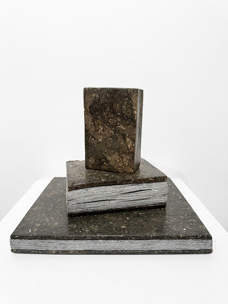 Isidre Tolosa · Three Books III