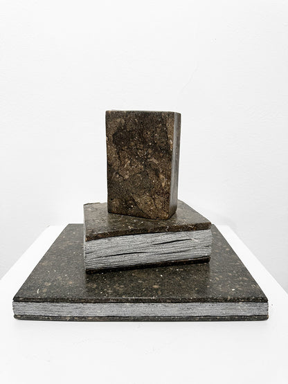 Isidre Tolosa · Three Books III