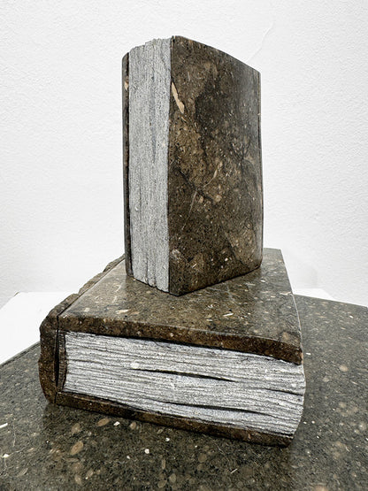 Isidre Tolosa · Three Books III