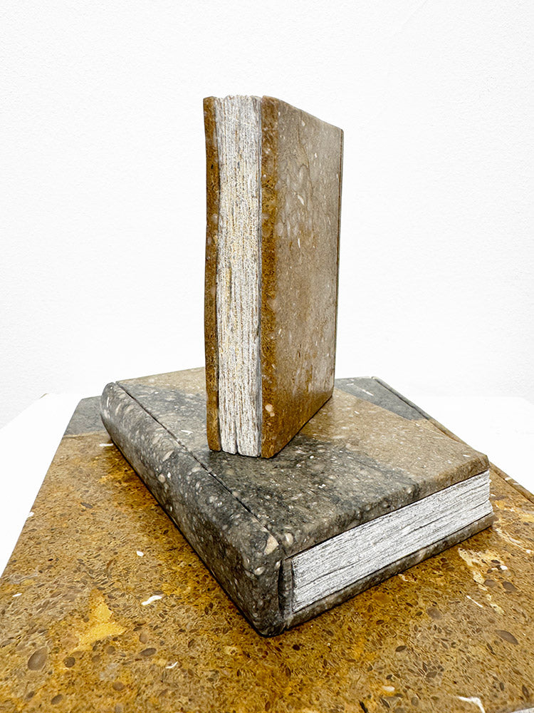Isidre Tolosa · Tres libros I