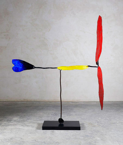 Josep Maria Riera i Aragó · Airplane