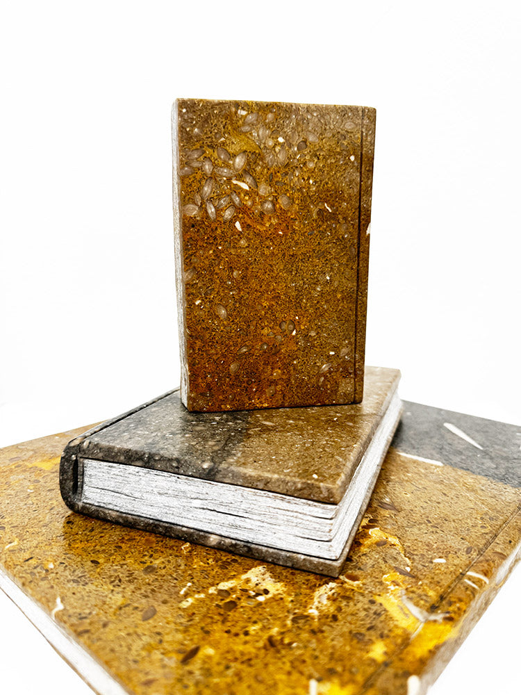 Isidre Tolosa · Tres libros I