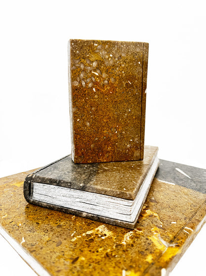 Isidre Tolosa · Tres libros I
