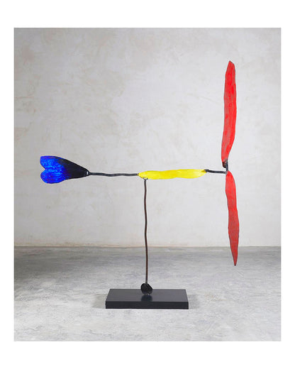 Josep Maria Riera i Aragó · Airplane